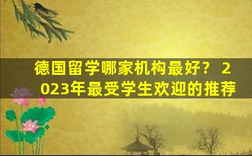 德国留学哪家机构最好？ 2023年最受学生欢迎的推荐